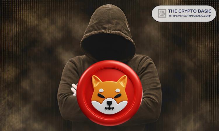 柴犬领队透露你可能忽视的重要新闻